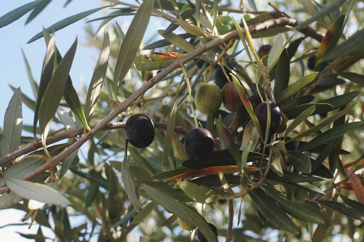 cosa fare a lecce in autunno